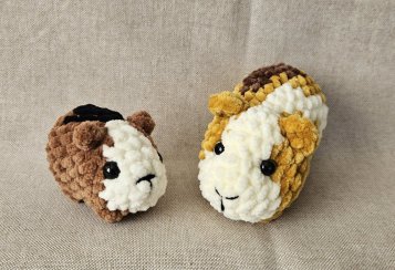 Hačkovany morča 2v1